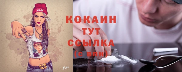 шишки Володарск