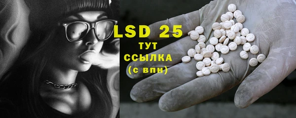 PSILOCYBIN Волосово