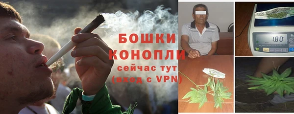 шишки Володарск
