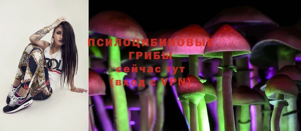 PSILOCYBIN Волосово