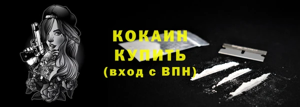 PSILOCYBIN Волосово