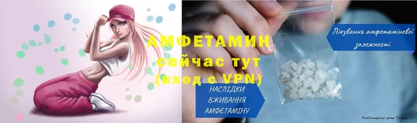 шишки Володарск