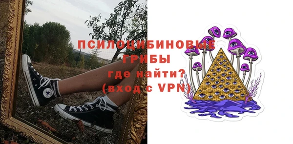 шишки Володарск