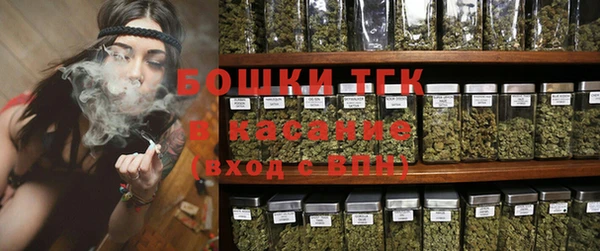 PSILOCYBIN Волосово