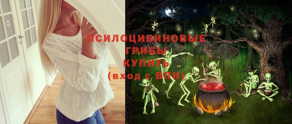 шишки Володарск