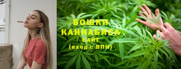 шишки Володарск